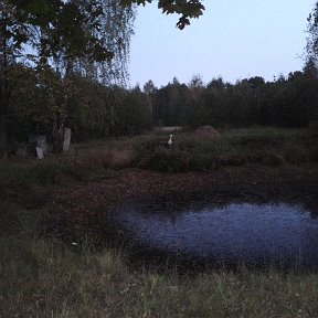 Фотография "В родной деревне!!!"