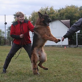 Фотография "MATRIX DE LA MADONINA на сдаче керунга в Новосибирске"