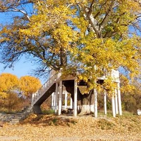 Фотография от Тагир Гамзатов