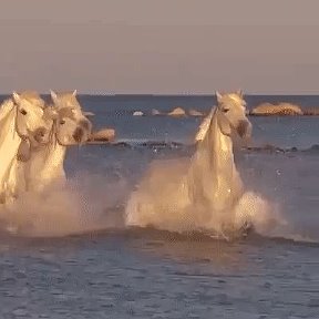 Фотография от Ольга Олешко