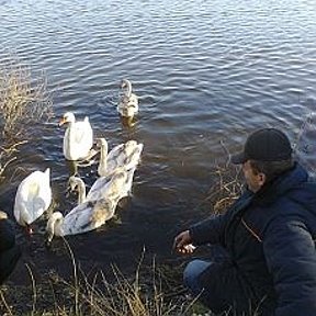 Фотография от Николай Орехов