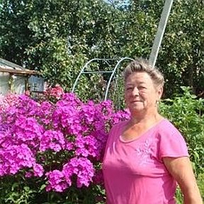 Фотография от татьяна качилова продаю многолетние цветы
