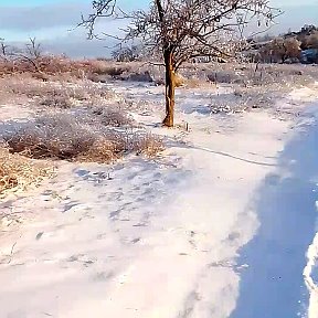 Фотография от Cветлана Лободина( Летучева)