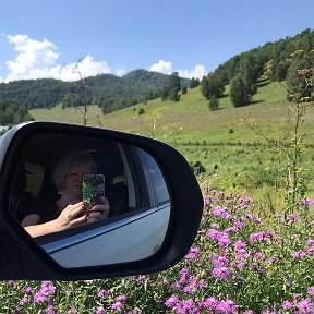 Фотография "#горныйалтай #республикаалтай #путешествиенамашине #путешествиепороссии #природа #сюжетыавтопутешествий #altai #altairepublic #travelingbycar #travelinginrussia #nature #cartravelstories #mountains #autotravel"