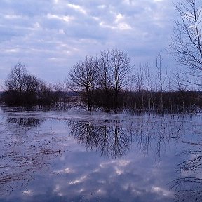 Фотография от Наталья Макарова