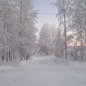 Фотография от Анна Гусева