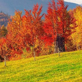 Фотография от ильнур зарипов