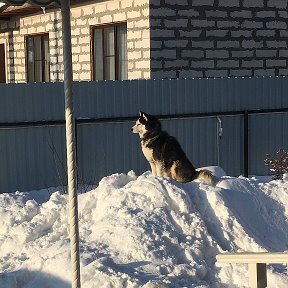 Фотография от Анна Маринченко