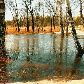 Фотография от ГОСТИНИЦА ПРИБАЙКАЛЬСКАЯ