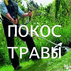 Фотография "Покос травы по Новоалександровску и округу! Цена за сотку от 300 руб!"