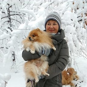 Фотография "Первый снег"