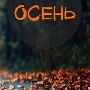 Фотография от Осень🍁🍂🍁 Осень🍂