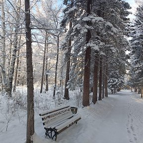 Фотография от Надежда Истомина