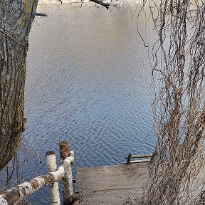 Фотография от Алена Позднякова (Титович)