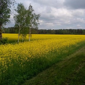 Фотография от Олег и Светлана Козыр