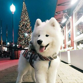 Фотография от рекет москва