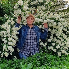 Фотография "Аромати жасмину  та м'яти словами не описати"