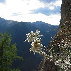 Фотография от Анна Довгун