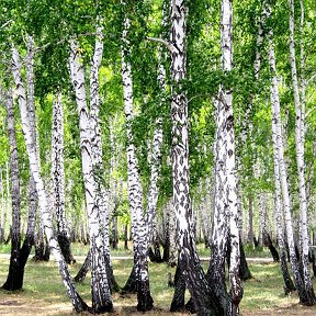 Фотография от Наталья Максакова