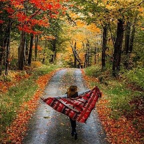 Фотография "А осень тем и хороша, что красками нам душу согревает...2019"