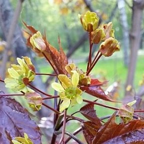 Фотография от МаринаСчастливая Любимая