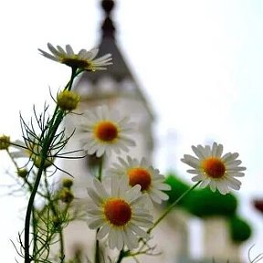 Фотография от Людмила Буйко