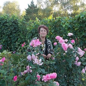 Фотография "жаль, что через пару дней заморозки."