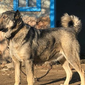 Фотография от Борис Бондаренко