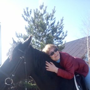 Фотография "Мой знакомый конь Мирон..."