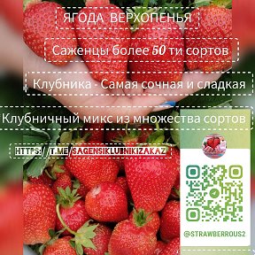 Фотография от Ирина Белоусова 🌱🍓🌱🍓