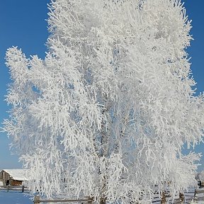 Фотография от Анна Гида