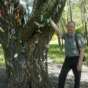 Фотография "Дерево желаний Ключи. Прохоровка. Хочется еще многого."
