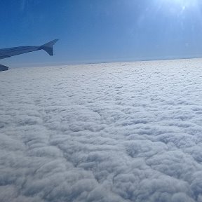 Фотография "На горизонте видны Альпы."