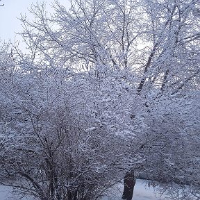 Фотография от Олег Осипов