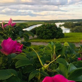 Фотография от Любовь Яковлева