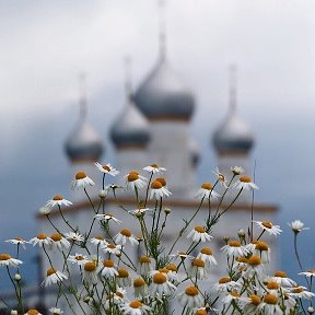 Фотография от Виктория 🌿