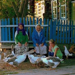 Фотография от Зариф Абдулрахманов