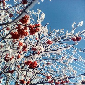 Фотография от Наташа Moисеева