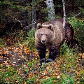 Фотография от Дмитрий Ларин