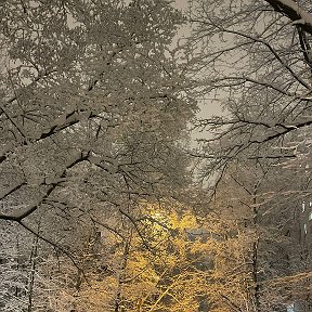 Фотография "15.12.21 Снегопад (Москва, Зеленоград)"