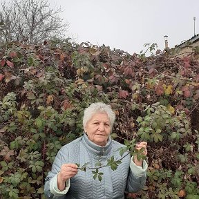 Фотография от Галина Горбенко