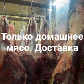 Фотография "ВКУСНОЕ ДЕРЕВЕНСКОЕ МЯСКО ГОВЯДИНЫ И СВИНИНЫ НА ДОМ НА 4 мая 89511709622"