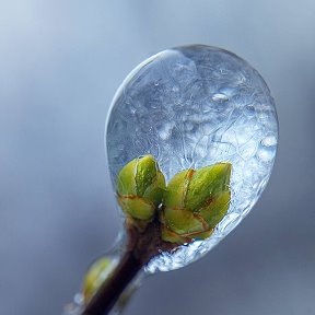 Фотография от Елена Браун