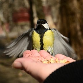 Фотография от Наташа Малета (Лонская )