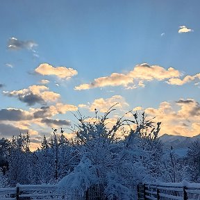 Фотография от Венера Шаймарданова