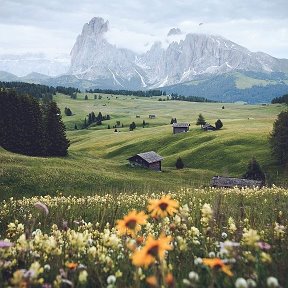 Фотография от Бехруз Хотамов