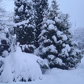 Фотография от марина гриневская