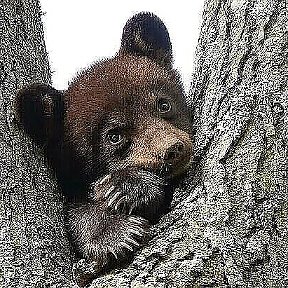 Фотография от Александр Векшин