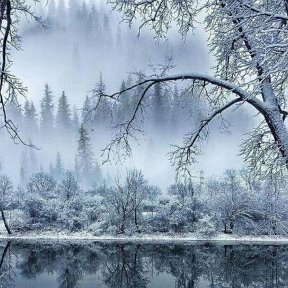 Фотография от Светлана Чернядьева(Максимова)