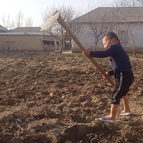 Фотография от Uzbek Bek